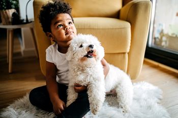 Little boy and pet dog at home